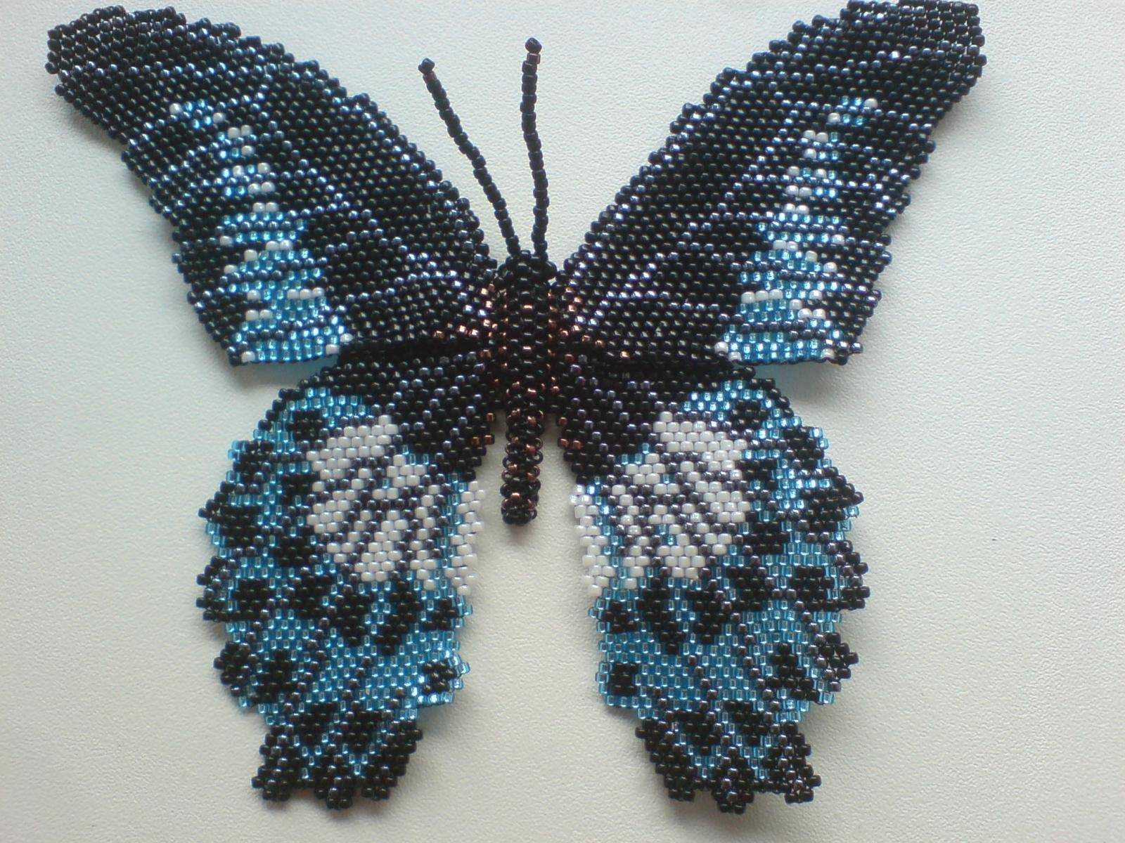 Бабочка из бисера поэтапно: мастер-класс со схемами плетения для начинающих, простые фото уроки с описанием